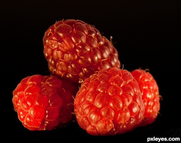 rasberries